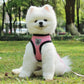 Pet Car Seat Belt Pet Leash